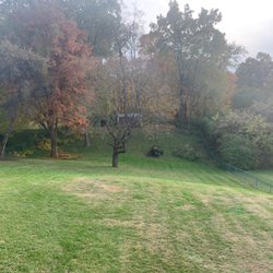 Big Timber Tree Service - Post cut but pre cleanup. Also looks so much better