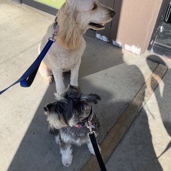 Baxters Pet Grooming - Fresh and clean - Pet Groomers Near Me - Lancaster, California Baxters Pet Grooming - Fresh and clean - Pet Groomers Near Me - Lancaster, California