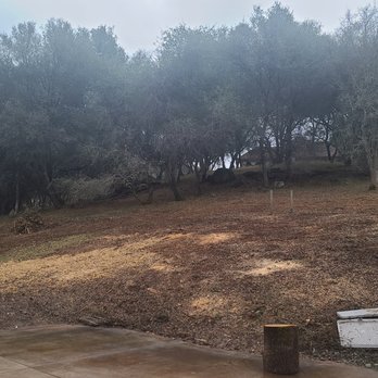 Daniel Hovarter Tree Service - The oak tree was the diameter of the open space. Great job cleaning up. - Tree Services Near Me - Placerville, California Daniel Hovarter Tree Service - The oak tree was the diameter of the open space. Great job cleaning up. - Tree Services Near Me - Placerville, California