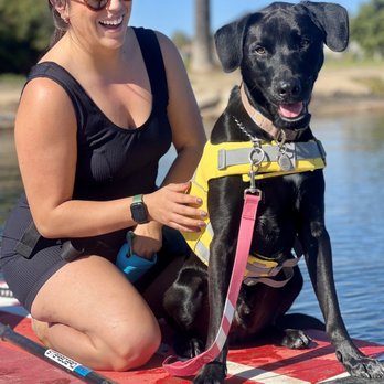 SUP Pups - Paddleboarding Near Me - San Diego, California SUP Pups - Paddleboarding Near Me - San Diego, California
