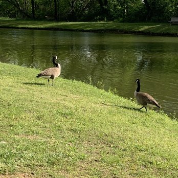 Bowling Green KOA - Campgrounds Near Me - Bowling Green, Kentucky
