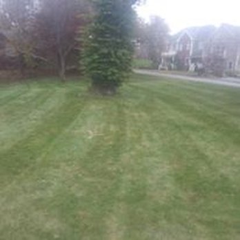 JohnnyK Services - a green lawn in a residential neighborhood - Landscaping Near Me JohnnyK Services - a green lawn in a residential neighborhood - Landscaping Near Me