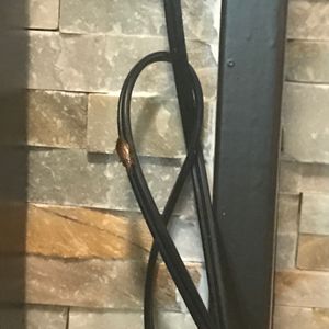 Photo of Jimmy's Restaurant - Baltimore, MD, United States. Roach on the wall