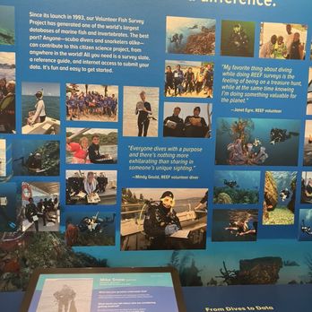 Reef Ocean Exploration Center - Visitor Centers Near Me - Key Largo, Florida Reef Ocean Exploration Center - Visitor Centers Near Me - Key Largo, Florida