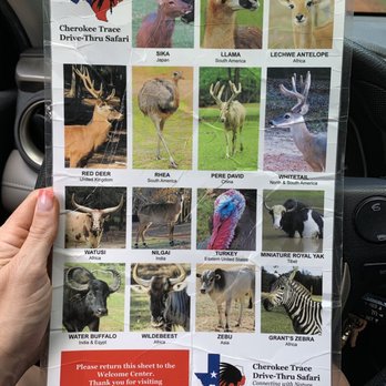 Cherokee Trace Drive Thru Safari - Parks Near Me - Jacksonville, Texas