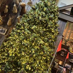 Bass Pro Shops - Christmas at Bass Pro