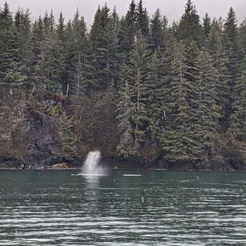 Kenai Fjords Tours - Boat Tours Near Me - Seward, Alaska
