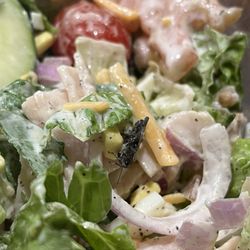 Salad