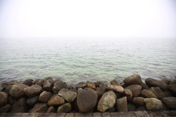 Charlottenlund Beach Park by null