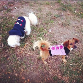 Baldy View Dog Park - Peanut and Charlie :) - Dog Parks Near Me - Upland, California Baldy View Dog Park - Peanut and Charlie :) - Dog Parks Near Me - Upland, California