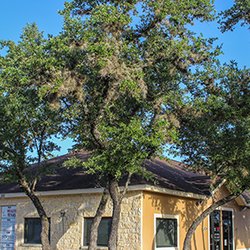 HealthTexas Primary Care Doctors - Hill Country Clinic