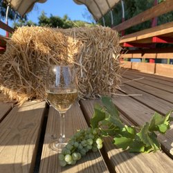 Rancho Guejito Vineyard - Hayride tours with a glass of wine.