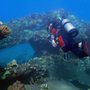 Photo of GoDiveMaui