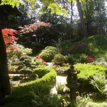 Serres royales de Laeken - Gorgeous Japanese garden in the heart of Brussels. - Botanical Gardens Near Me - Laeken, BRU