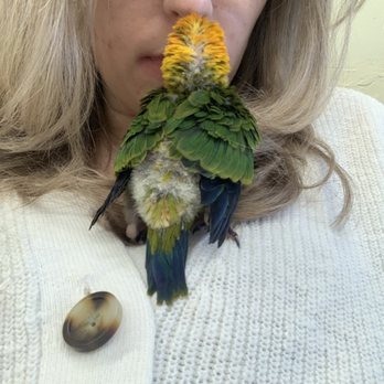 THE BIRD & REPTILE CONNECTION - Updated June 2024 - 29 Photos & 33