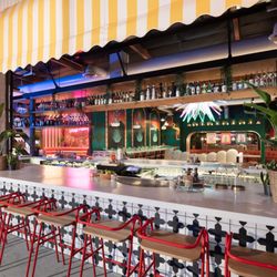 Pig Latin - Outdoor Full Service Bar. Tacos, Tequila, Good Times!
