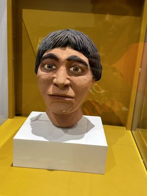 Regional Museum of Guadalajara by null