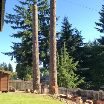 Arbor Logic Tree Services - Tree Services Near Me Arbor Logic Tree Services - Tree Services Near Me