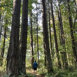 Matilda Jackson State Park - Matilda Jackson State Park