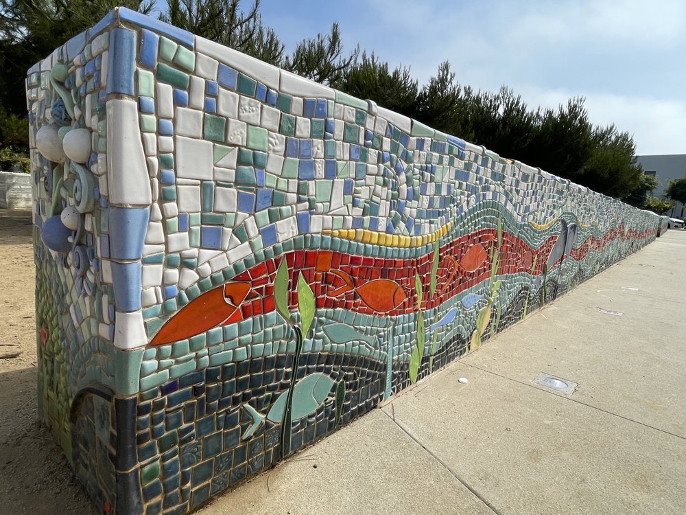 Pacific City Park Logo