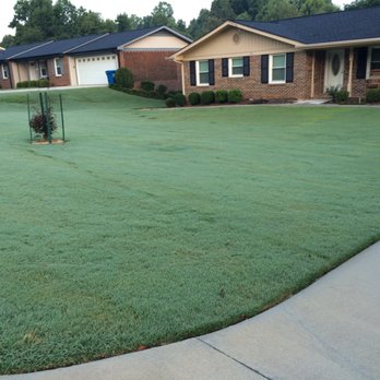 One Man And A Mower - a freshly mowed lawn - Lawn Services Near Me - Prattville, Alabama One Man And A Mower - a freshly mowed lawn - Lawn Services Near Me - Prattville, Alabama