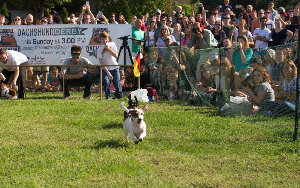 Red Rover Pet Services - pet boarding facility in Nashville, TN