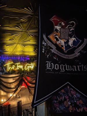 The Iron Gate by null