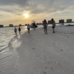 Encounter With Dolphins - Shell collecting on island