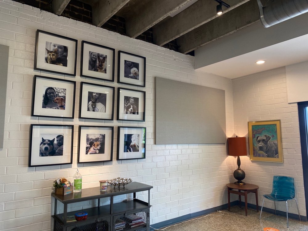 STAND FOR ANIMALS VETERINARY CLINIC Updated September 2024 71 Photos & 104 Reviews 224 W