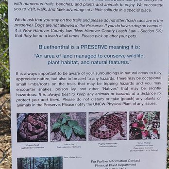 Bluethenthal Wildflower Preserve - Botanical Gardens Near Me - Wilmington, North Carolina
