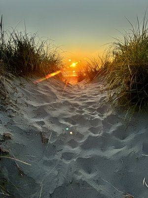 Sandy Cove Inn and Red Door Vacation Rentals by null