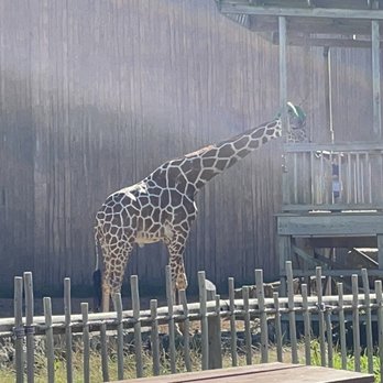 Sedgwick County Zoo - Zoos Near Me - Wichita, Kansas