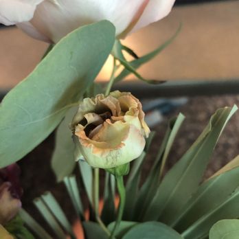 Rook & Rose - Florists Near Me - Victoria, British Columbia Rook & Rose - Florists Near Me - Victoria, British Columbia