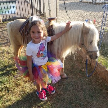 Ponylandia Pony Rides - Party & Event Planning Near Me Ponylandia Pony Rides - Party & Event Planning Near Me