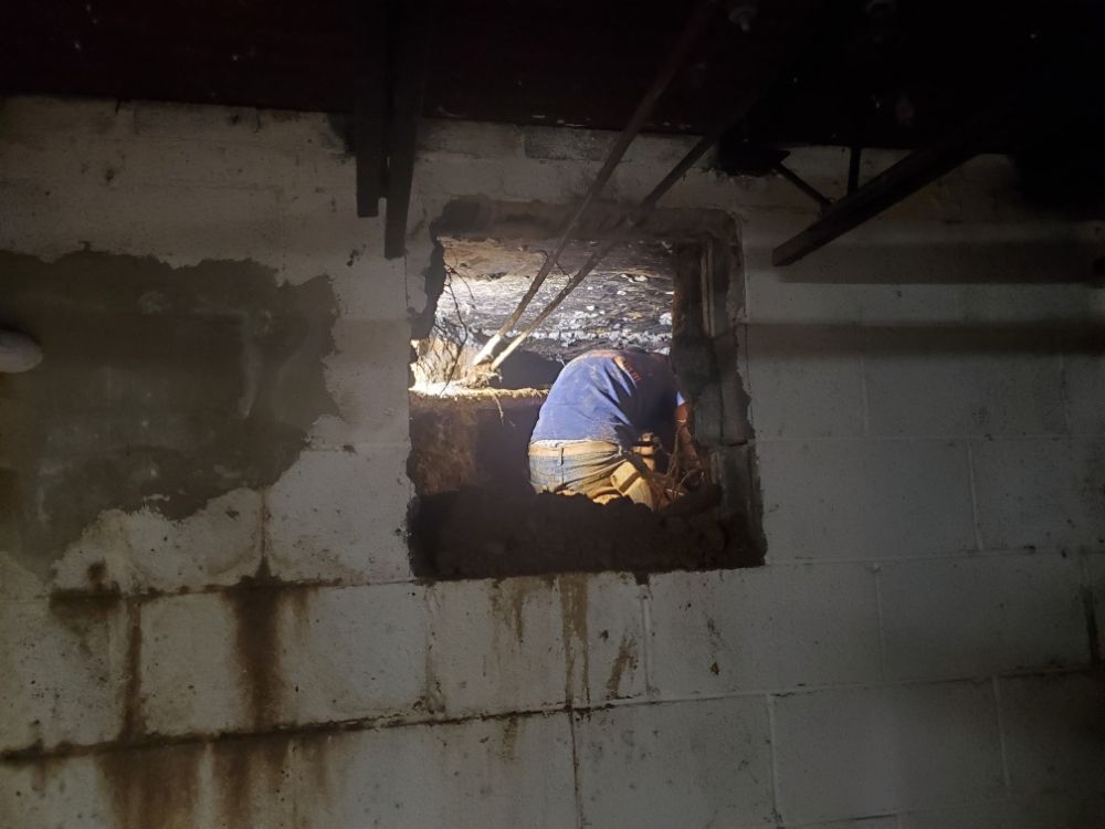 Slide of Bigdawg Drain Cleaning and Repair