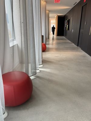 Brooklyn Academy of Music by null