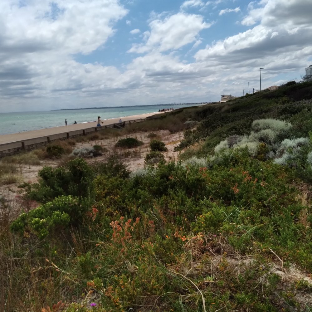 Chelsea Beach - Beach - Libraries Near Me - Chelsea, VIC