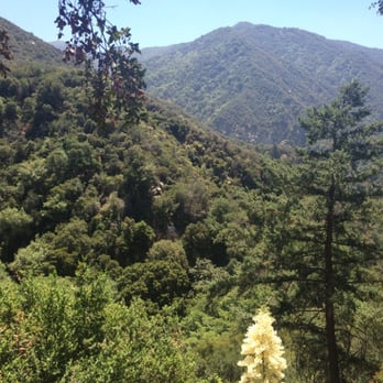 Sturtevant Falls - The view from the second trail from when i climbed up from sturtevant falls. Only tree with flowers btw!!:) - Hiking Near Me