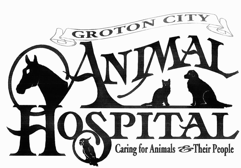 GROTON CITY ANIMAL HOSPITAL Updated July 2024 794 Cortland Rd