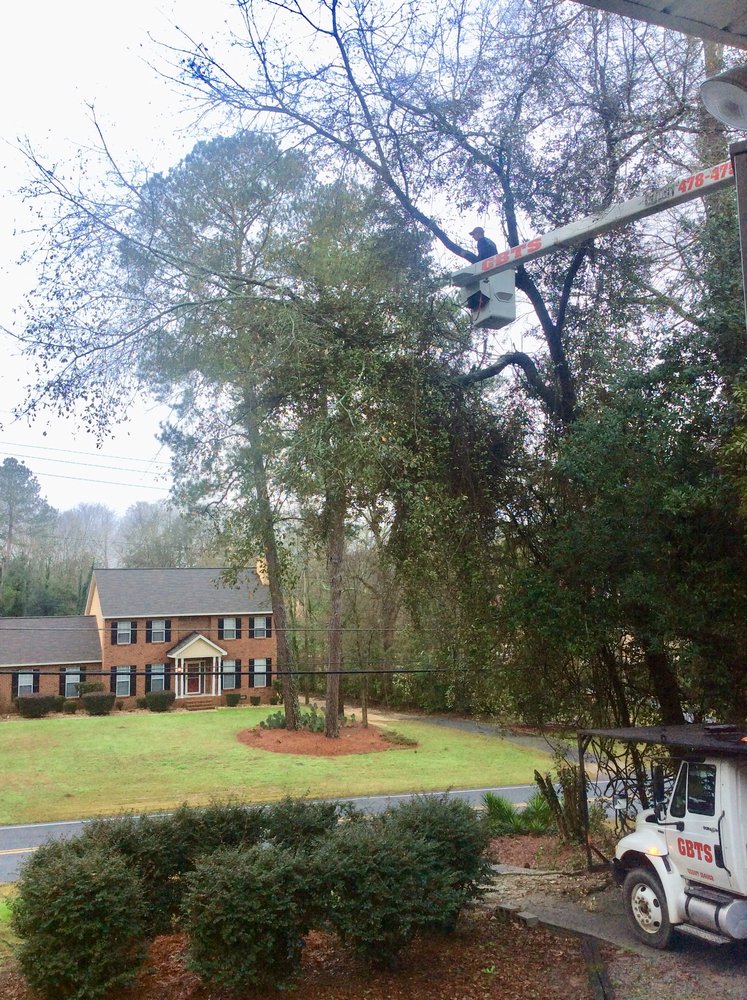 GRAY BROTHERS TREE SERVICE Yelp