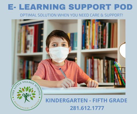 The Little Village School