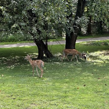 Druid Hill Park - Parks Near Me - Baltimore, Maryland