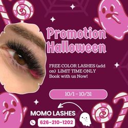 Momo Lashes - Special promotion
Book with us Now!