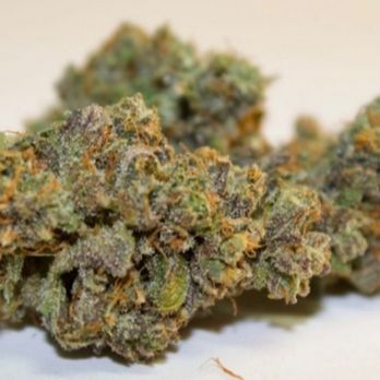 Native Roots - Cannabis Clinics Near Me - Orlando, Florida Native Roots - Cannabis Clinics Near Me - Orlando, Florida