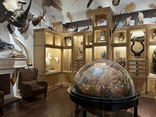 Houston Museum of Natural Science by null