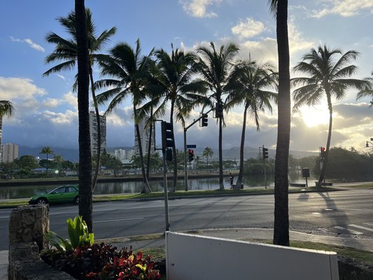 Coconut Waikiki Hotel by null