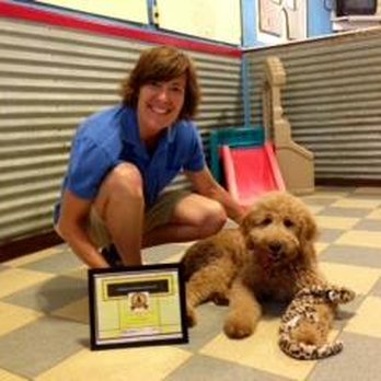 Noble Beast South - Pet Training Near Me - Littleton, Colorado Noble Beast South - Pet Training Near Me - Littleton, Colorado