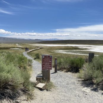 Wild Willy's Hot Spring - Hot Springs Near Me - Mammoth Lakes, California Wild Willy's Hot Spring - Hot Springs Near Me - Mammoth Lakes, California