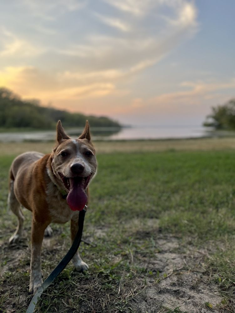 Lake Tawakoni State Park Image