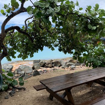 Turtle's Deli - Sandwiches Near Me - Frederiksted, Virgin Islands